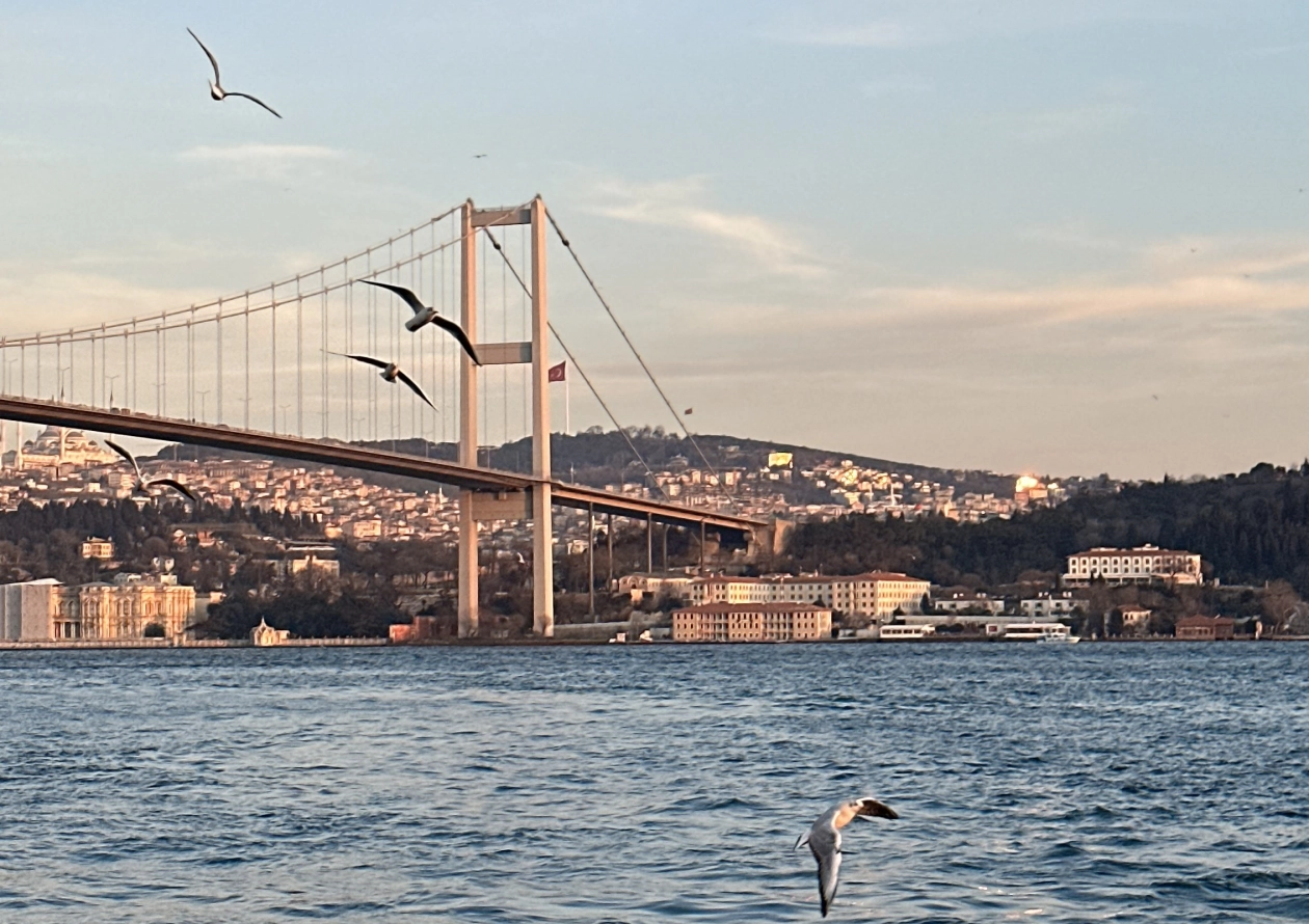  Berrak Istanbul №8